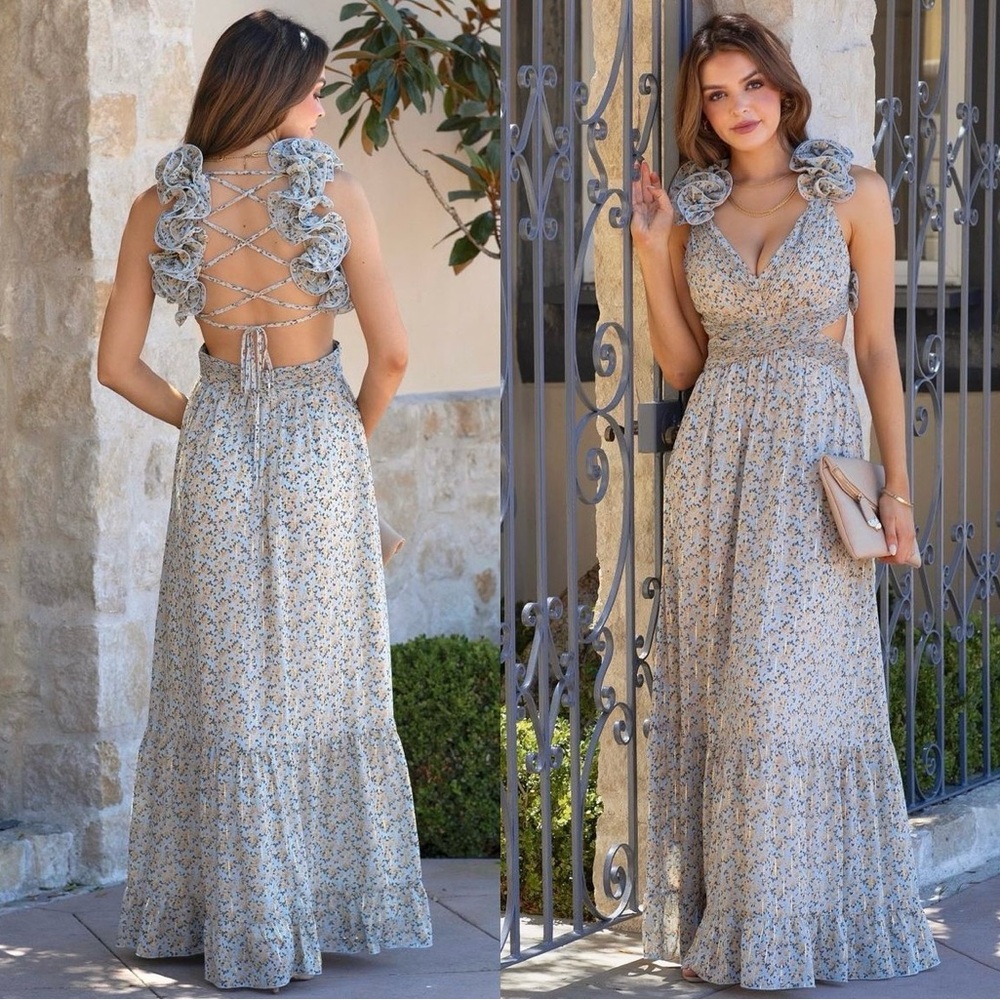 Vici Living For Love Floral Ruffle Chiffon Maxi Dress